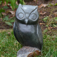 Hand Carved Owl - African Fine Art