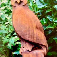 Artful Owl
