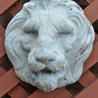 Lion Face Mask - Blue
