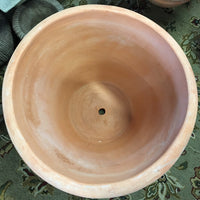 Terrecotte Rosette Vase - 17" H