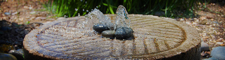 Frog Fountains