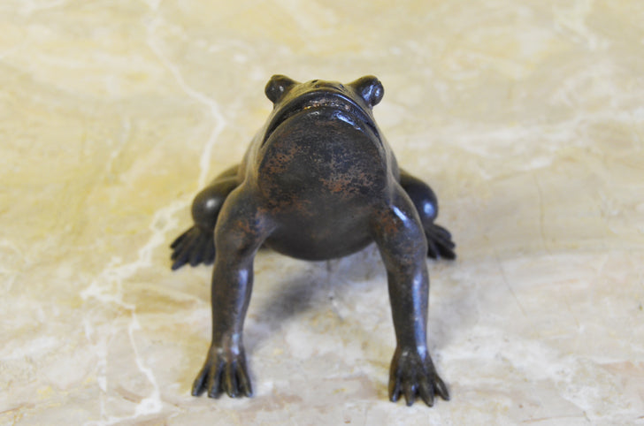 Croaking Up Bronze Frog