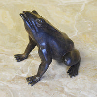 Croaking Up Bronze Frog