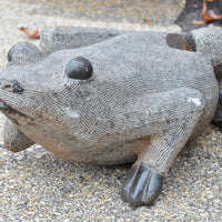 Fine Art Frog - Hand Carved