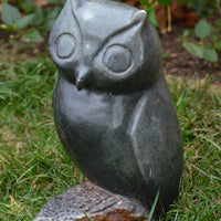 Hand Carved Owl - African Fine Art