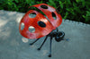 Ladybug - Small
