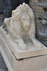 Lion of Hadrian - Left Hand - Garden Traditions Collection