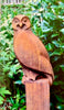 Artful Owl