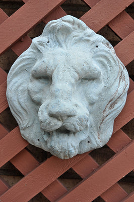Lion Face Mask - Blue
