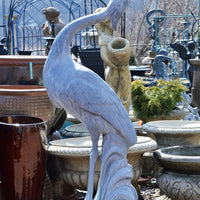 Heron Looking Up Fountain