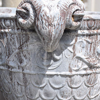 Rams Head Urn