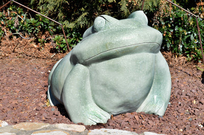 Kaeru Frog 36