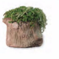 Middle Earth Planter