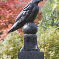 Guardian Raven